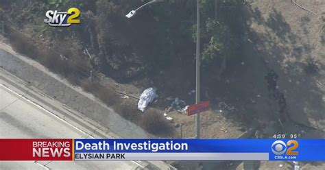 Burned body found along 5 Freeway in Los Angeles